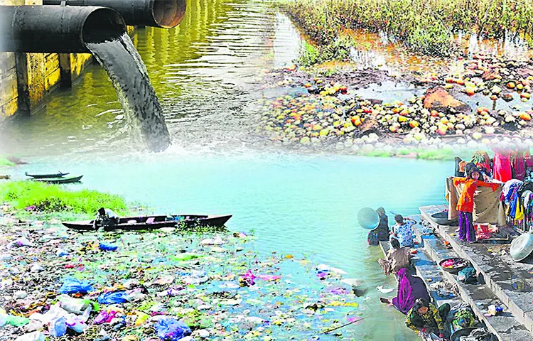 Pollution in Godavari waters reaches high level