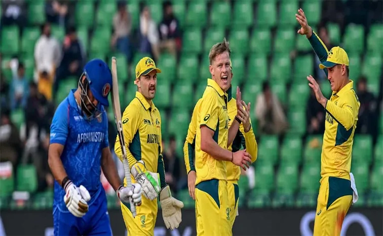 Champions Trophy 2025: Afghanistan, Australia Match Ended In No Result Due To Rain, Australia Qualified For Semi Finals