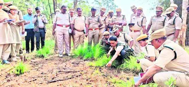 ఎన్‌ఎస్‌టీఆర్‌లో గడ్డి మైదానాలు 
