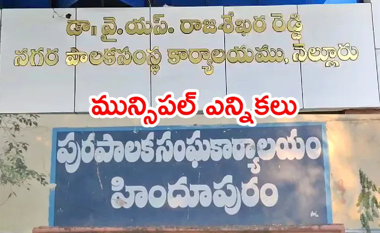 Municipal Elections In AP Live Updates