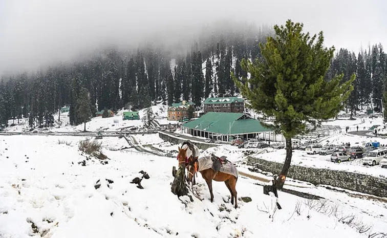 Snowfall brings cold in North India fog troubles 12 States