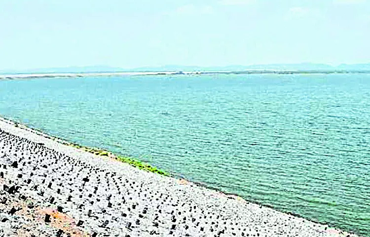 Tenders for the transfer of Godavari waters