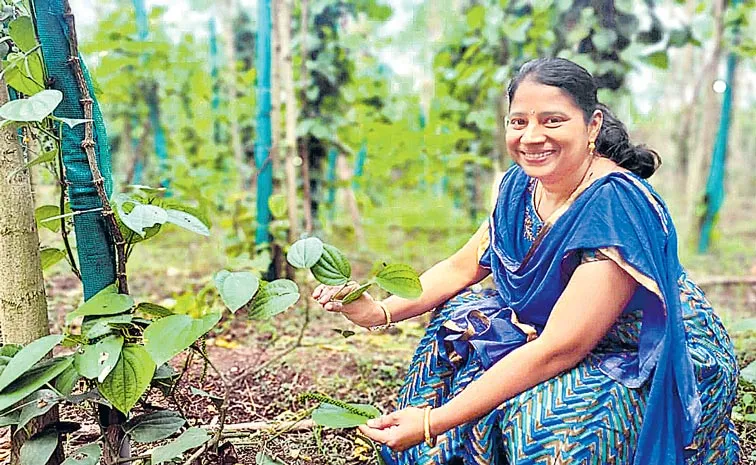 Tissue culture scientist Dr Srilakshmi venkatapathy special Story