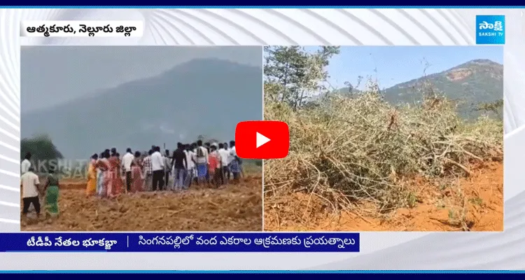 TDP Leaders Land Grabs In Nellore