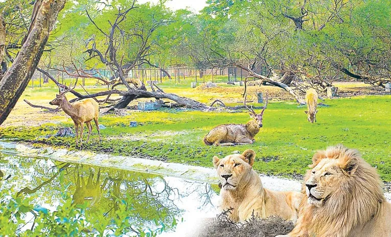 New species for Nehru Zoo Park at Hyderabad