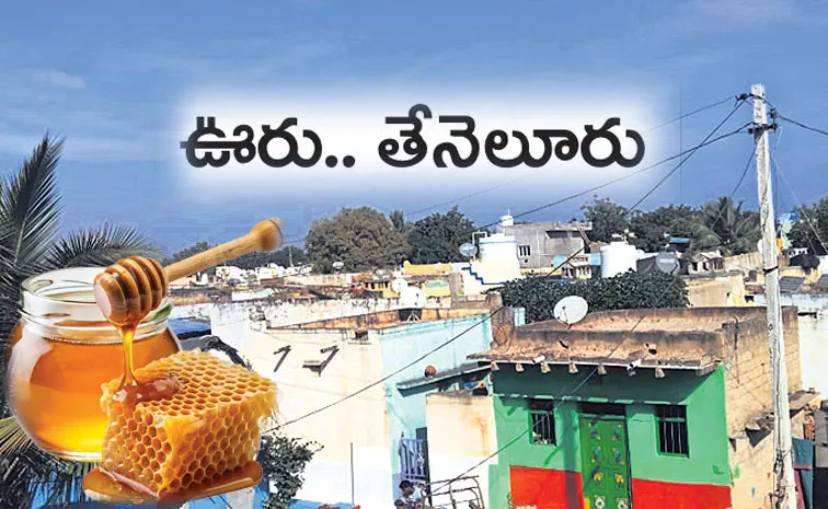 Special story on Honey Village Chillakondaiahpalli