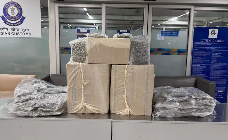 Foreign Ganja Caught At Delhi Airport Check Details