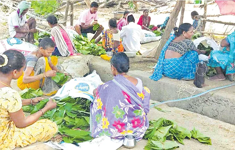 Tunic collection provides employment to tribals during summer