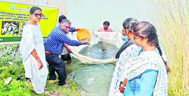 జిల్లాలో మత్స్యసంపద వృద్ధి చెందాలి