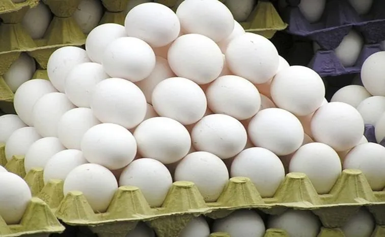 100,000 organic eggs stolen from one US grocer as bird flu drives up prices