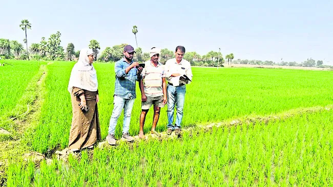 డిజిటల్‌ క్రాప్‌ సర్వేతో రైతులకు మేలు