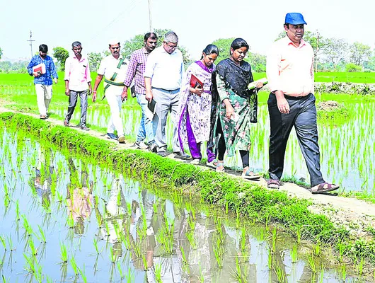 తప్పులుండొద్దు..