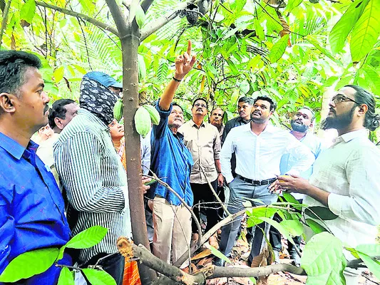 అంతర పంటలతో ఆర్థికవృద్ధి