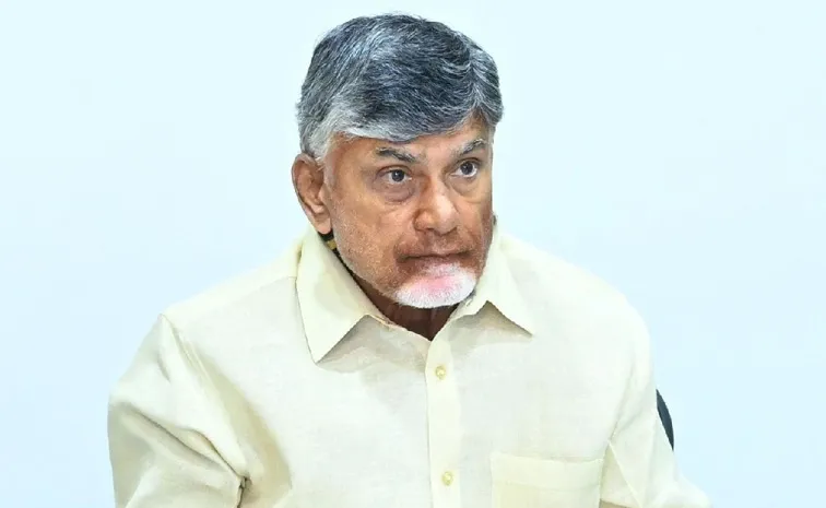 CM Chandrababu Government debts Details In AP