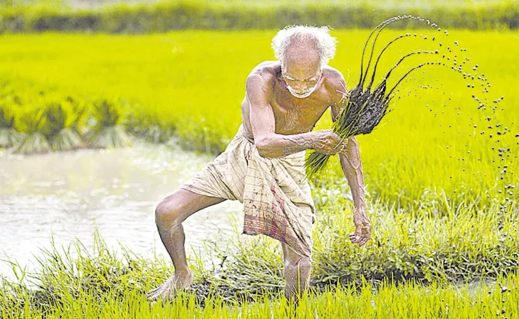 AP Farmers Fires on AP Govt: andhra pradesh