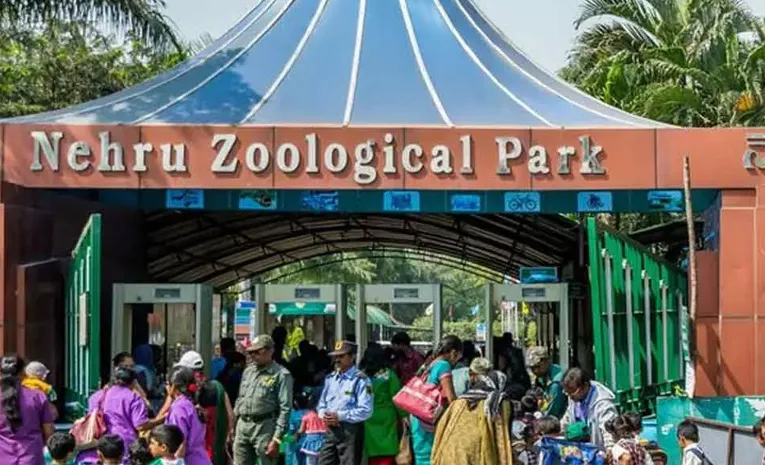 Hyderabad Nehru Zoological Park Hikes Ticket Prices