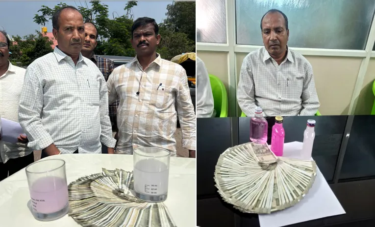 ACB Caught Red Handed To Chandragiri Panchayat EO