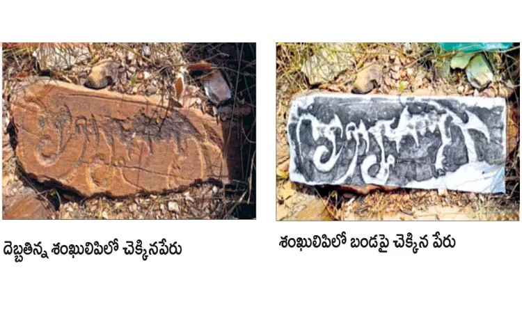 Rare conch inscriptions in YSR district