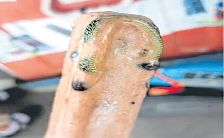 Thailand Man in finds frozen snake inside ice cream