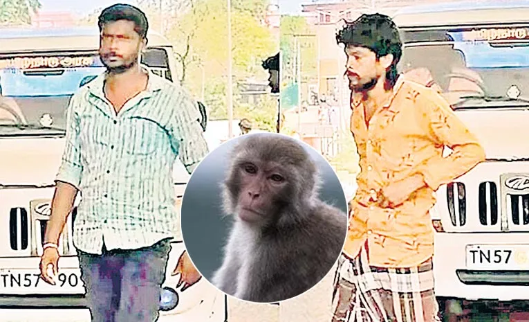 two people arrested monkey Issue In tamil nadu