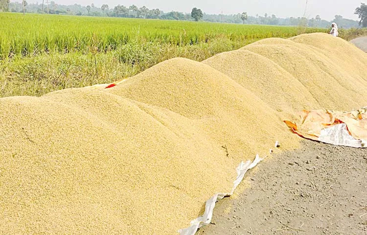 Government fails in Kharif grain procurement