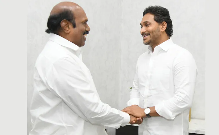 Tamil Nadu Minister Ev Velu And Mp Wilson Meet Ys Jagan 