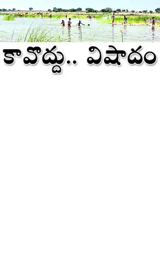 మద్యంతో ప్రమాదాలు..