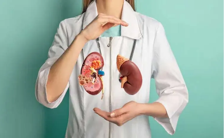 World Kidney Day 2025: Prioritising Early Detection For Better Kidney Health