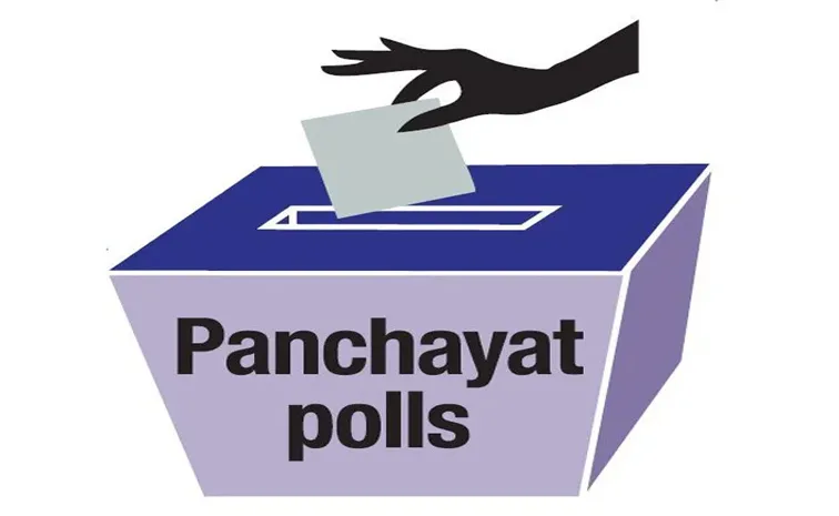 Parliamentary panel recommends to panchayati elections