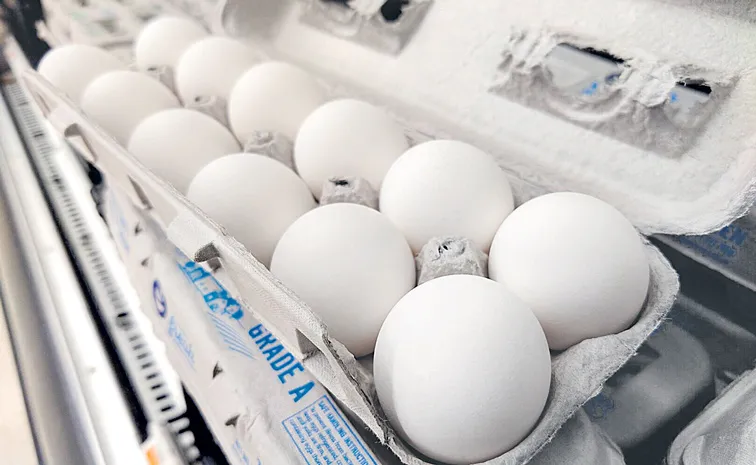 US egg prices hit a record high