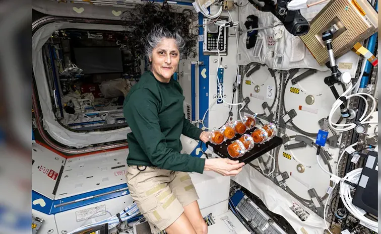 How much does NASA pay Sunita Williams and Butch Wilmore in compensation