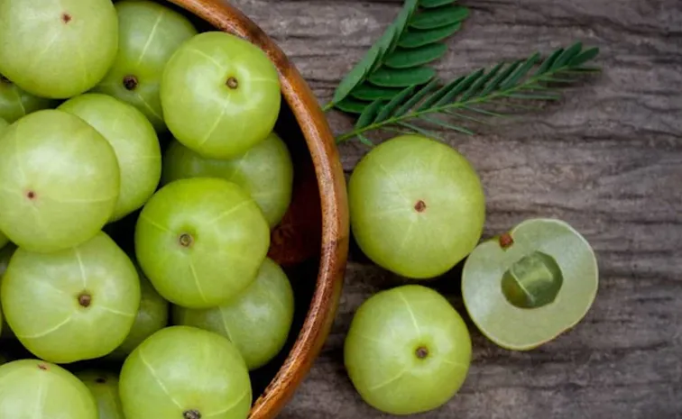 Amazing health benefits Amla Indian gooseberry 