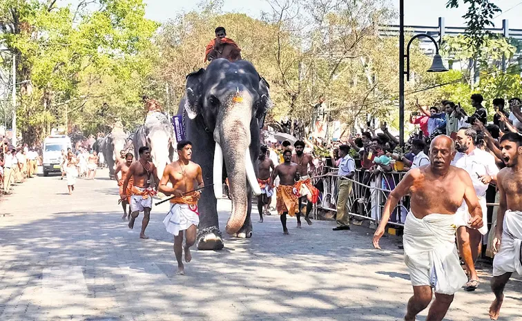 Annual Guruvayur Temple Anayottam elephant race, Balu wins