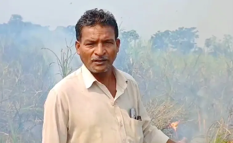 Farmer Set Fire To His Crop In Anakaplle's Madugula