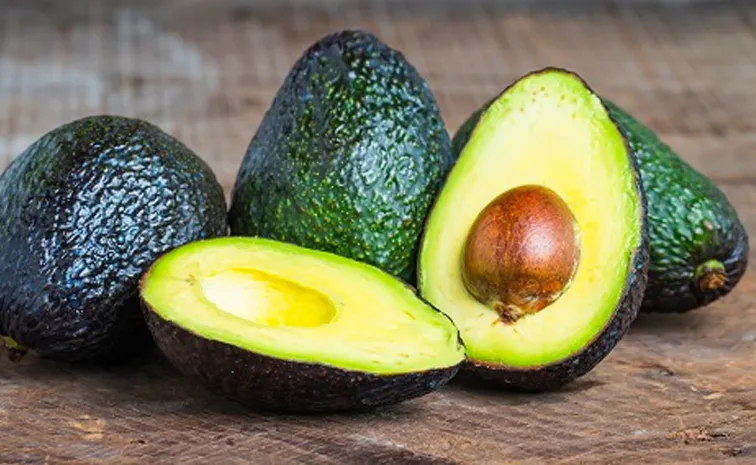 Don of fruits avocado How to grow it check full deets inside