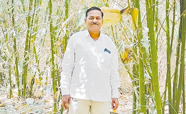 Maharashtra Bamboo Farmer Wins Awards for Environmental Conservation and Earns Rs 25 Lakh Annually: Shivaji Rajput