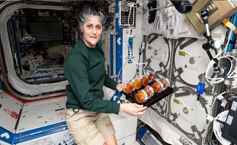 Sunita Williams Zero Gravity Diet What She Ate For 9 Months 