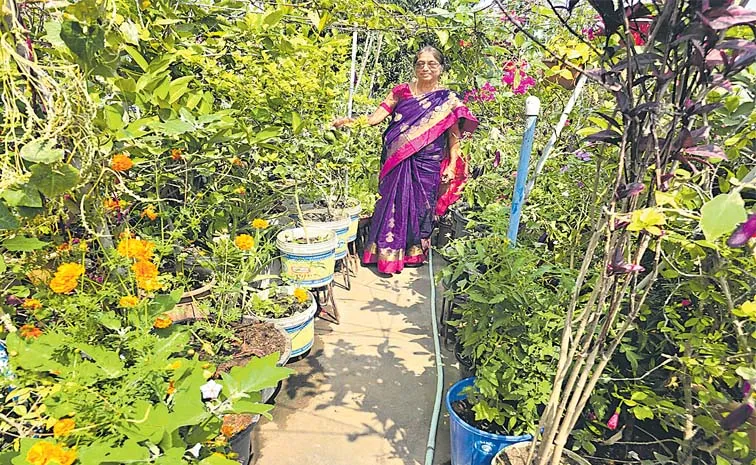 Retired Headmaster Transformed Home Into Lush Garden Crops And Plants