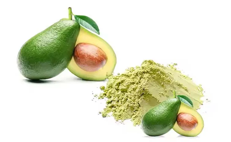 Avocado Fruit Extract Powder Stable For More Than Three Months 