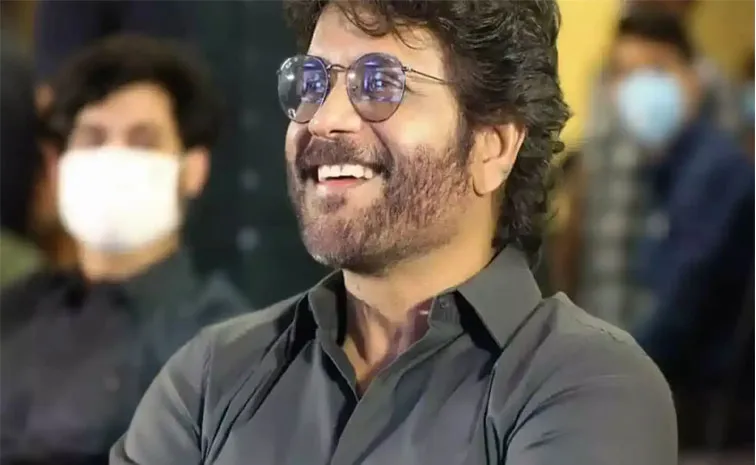 Nagarjuna Focus On His 100th Film