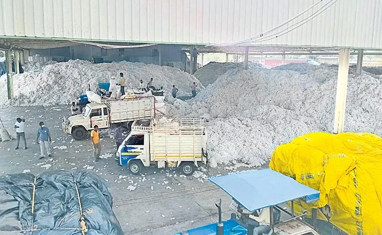 Cotton Farmers Losing With Cotton Brokers: Telangana