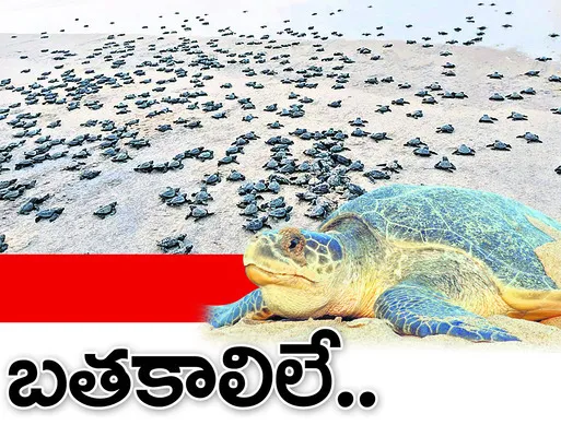 శ్రీక