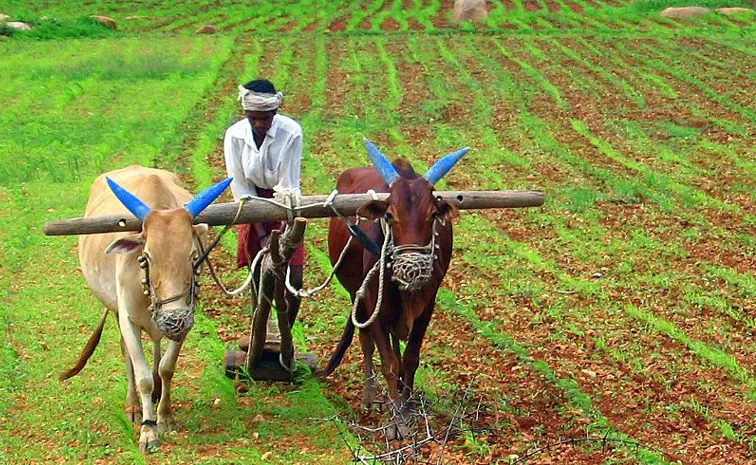 Madhya Pradesh Government Offers Permanent Power to Farmers for Just rs5