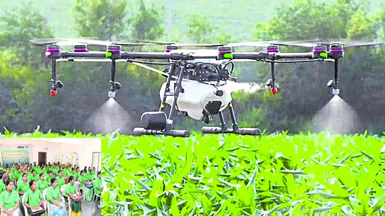 Drone Scheme For Women SHGs In Agriculture Sector