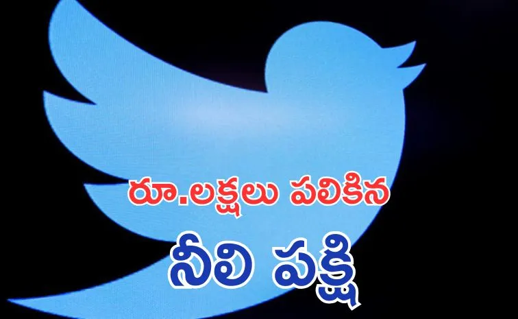 Twitter's iconic bird logo fetches nearly 35000 USD at auction