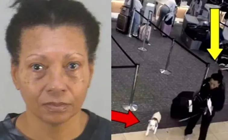 Us Woman Drowns Dog In Airport Restroom After Pet Denied Boarding