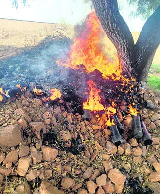 సూక్ష్మ సేద్యం పరికరాల దగ్ధం 