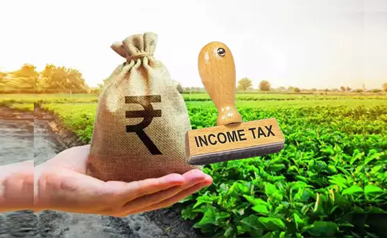 Taxman smells scam in dubious agricultural income declaration