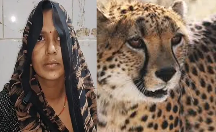 Mother rescues son from leopard jaws in Madhya Pradesh