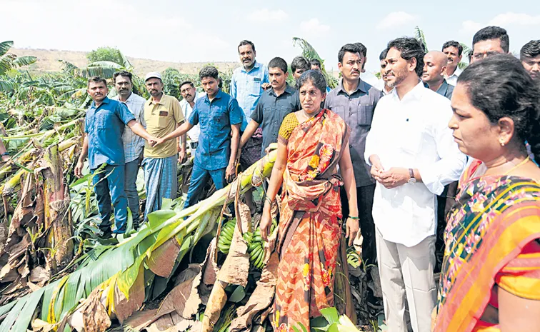 YS Jagan Mohan Reddy Demands Chandrababu Govt On Compensation to Farmers Loss